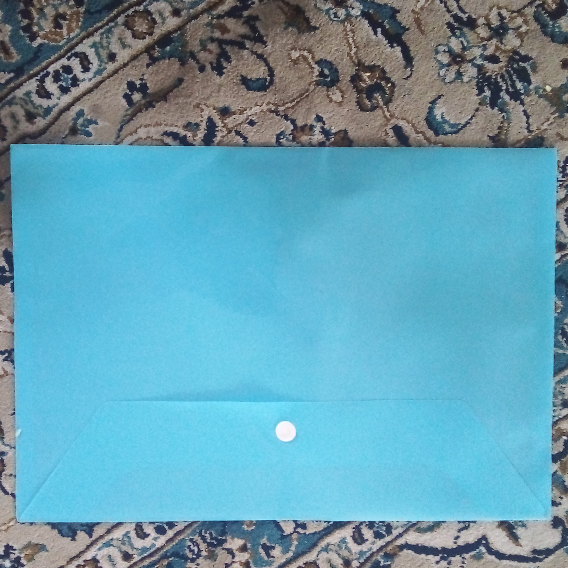 پوشه دکمه دار