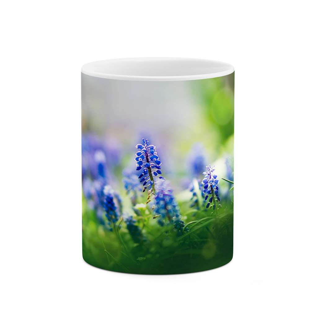 ماگ طرح گل مدل mgs12109