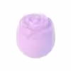 بالم لب کیو سی مدل گل رز