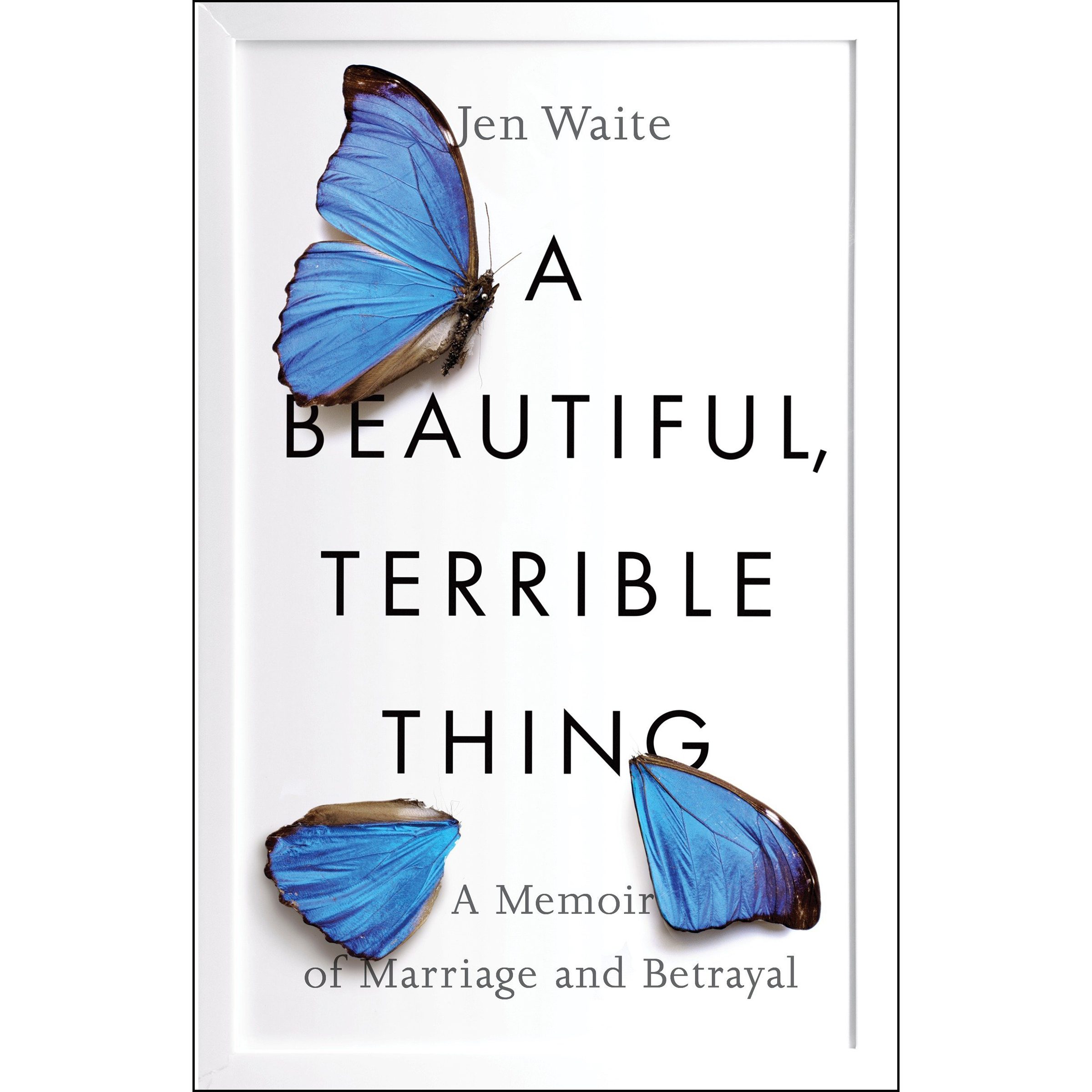 کتاب A Beautiful, Terrible Thing اثر Jen Waite انتشارات Penguin Group Inc.