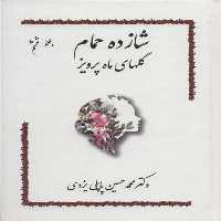 شازده حمام جلد ششم (گلهای ماه پرویز) - کتاب‌فروشی کوچه کتاب