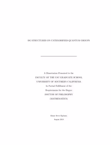 خرید و دانلود نسخه کامل کتاب DG structures on categorified quantum groups
