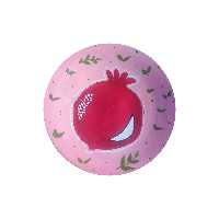 بشقاب دیوارکوب سفالی مدل تک انار کد 107