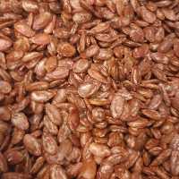 تخمه جاپنی شور