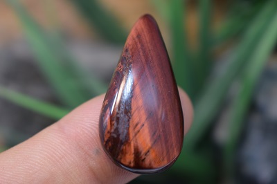 چشم ببر قرمز