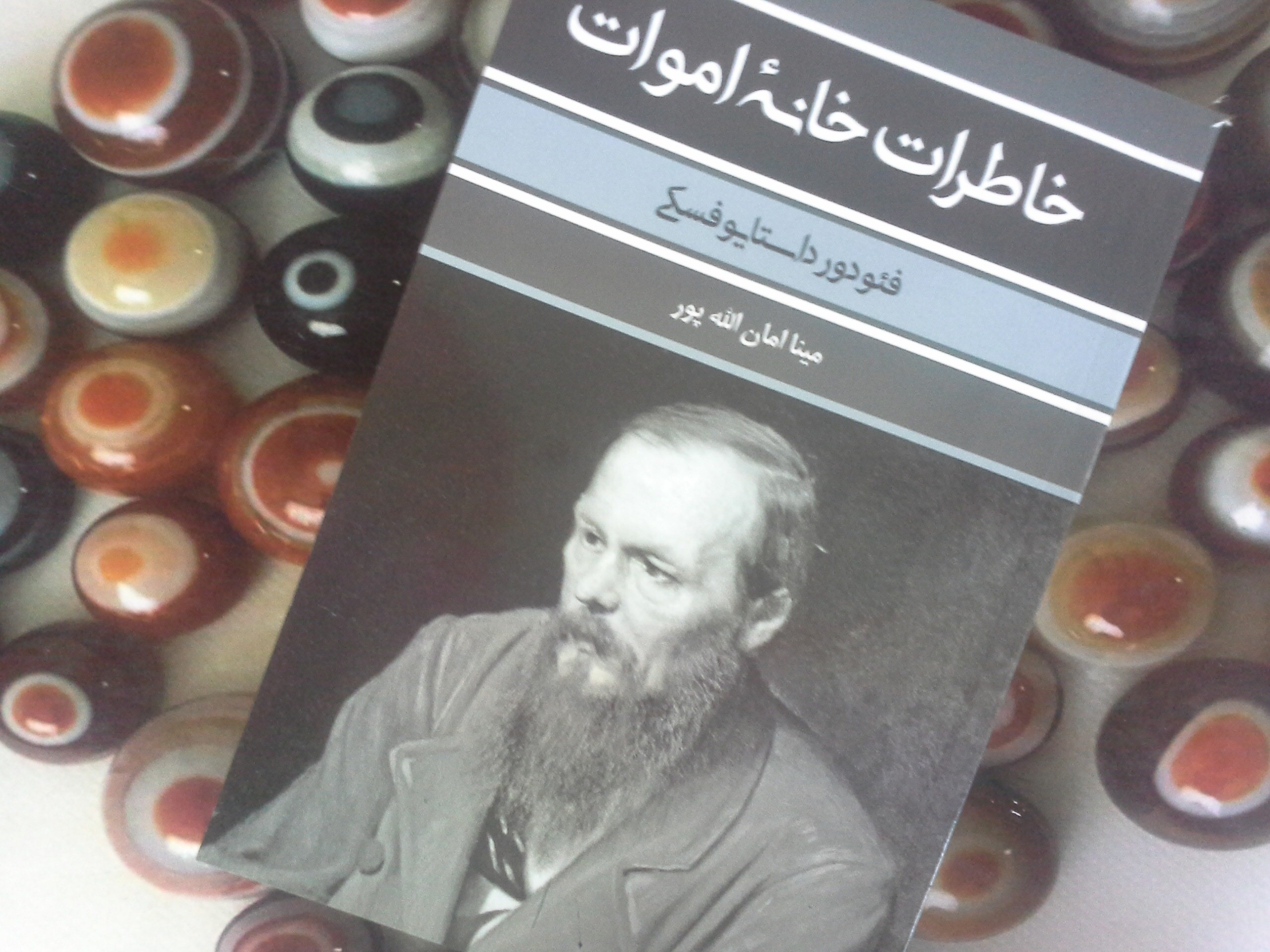 کتاب خاطرات خانۀ اموات - خرید با تخفیف چهل درصد از کتاب دایره قهوه ای