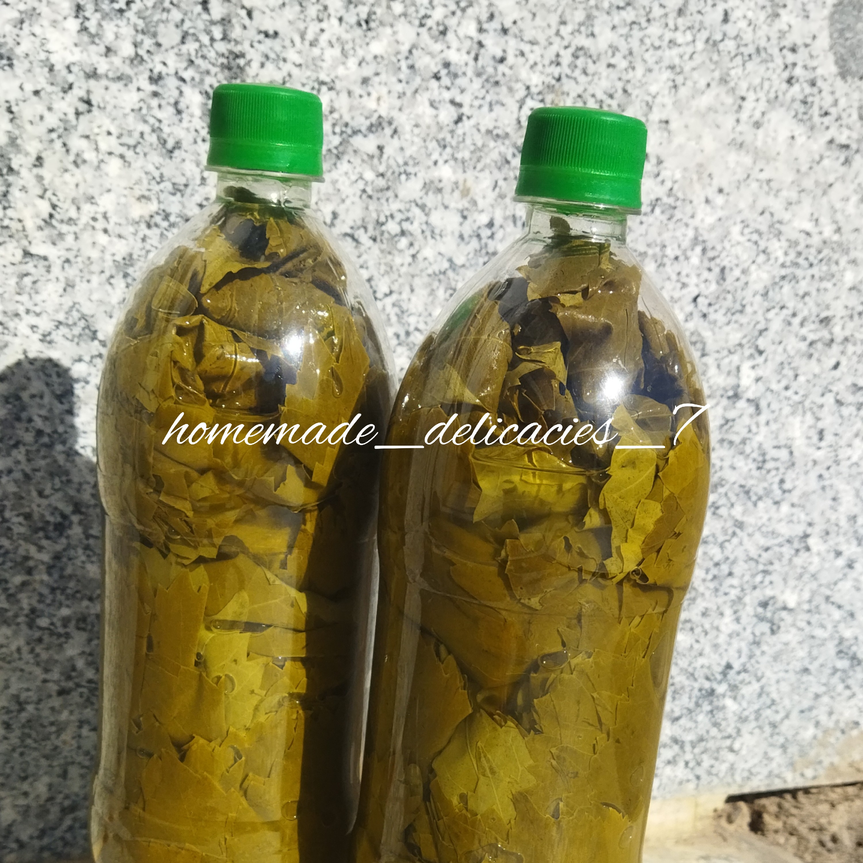 برگ مو 1 کیلوگرم