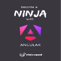خرید و دانلود نسخه کامل کتاب Become A Ninja With Angular (v17.0.0)
