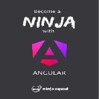 خرید و دانلود نسخه کامل کتاب Become A Ninja With Angular (v17.0.0)