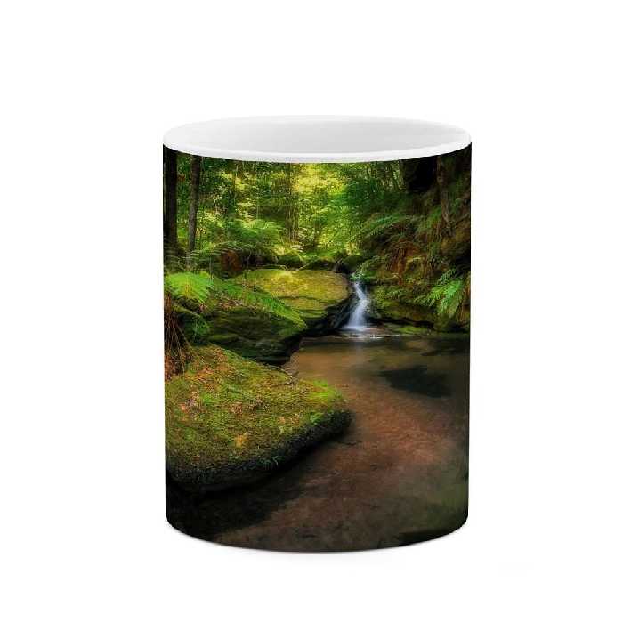 ماگ کاکتی طرح منظره مدل mgs13159