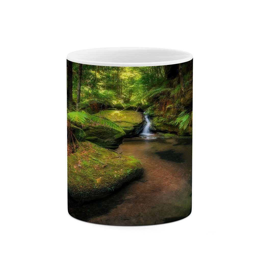 ماگ کاکتی طرح منظره مدل mgs13159