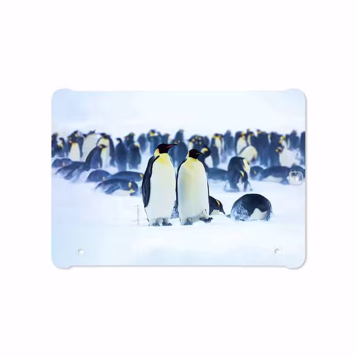 برچسب پوششی ماهوت مدل Penguin مناسب برای تبلت سامسونگ Galaxy Tab S2 9.7 2015 T815