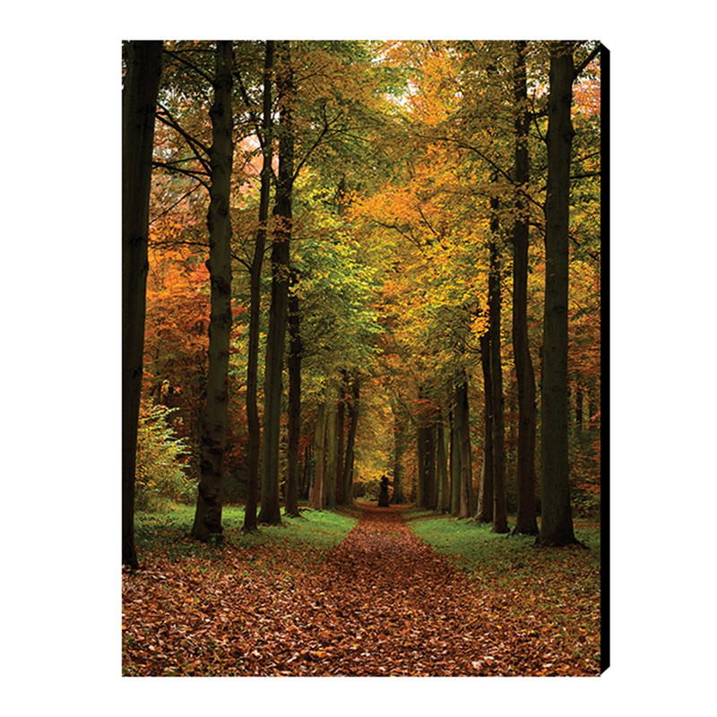 تابلو شاسی بارمان مدل N275 | دنیای قاب