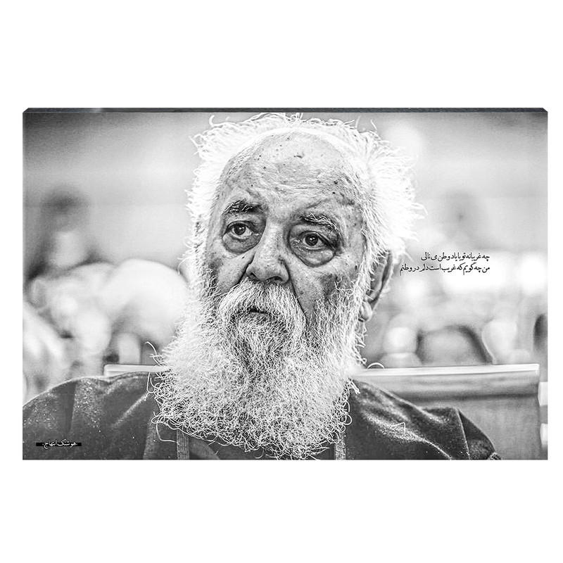 تابلو شاسی طرح هوشنگ ابتهاج کد S110 | دنیای قاب