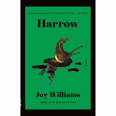 کتاب Harrow اثر Joy Williams انتشارات Vintage