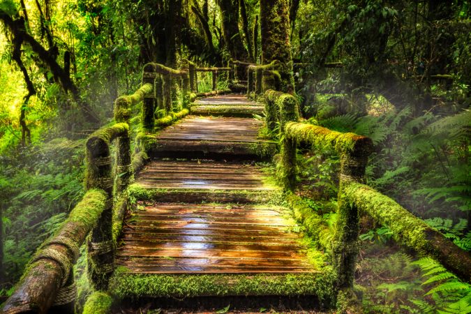خرید و دانلود عکس Nature-Part-16 کد 35690 | پیک فاکس | Pic Fox