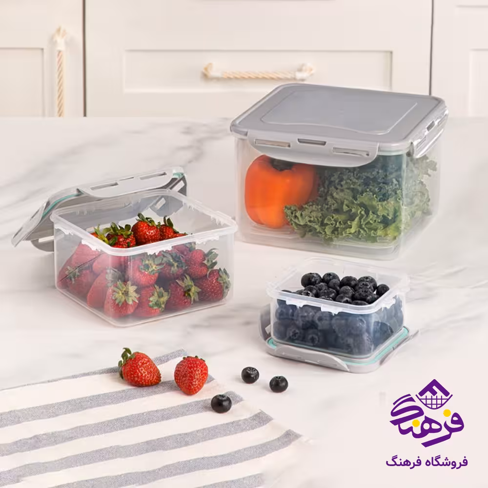 ظرف نگهدارنده مربع 6 پارچه لیمون