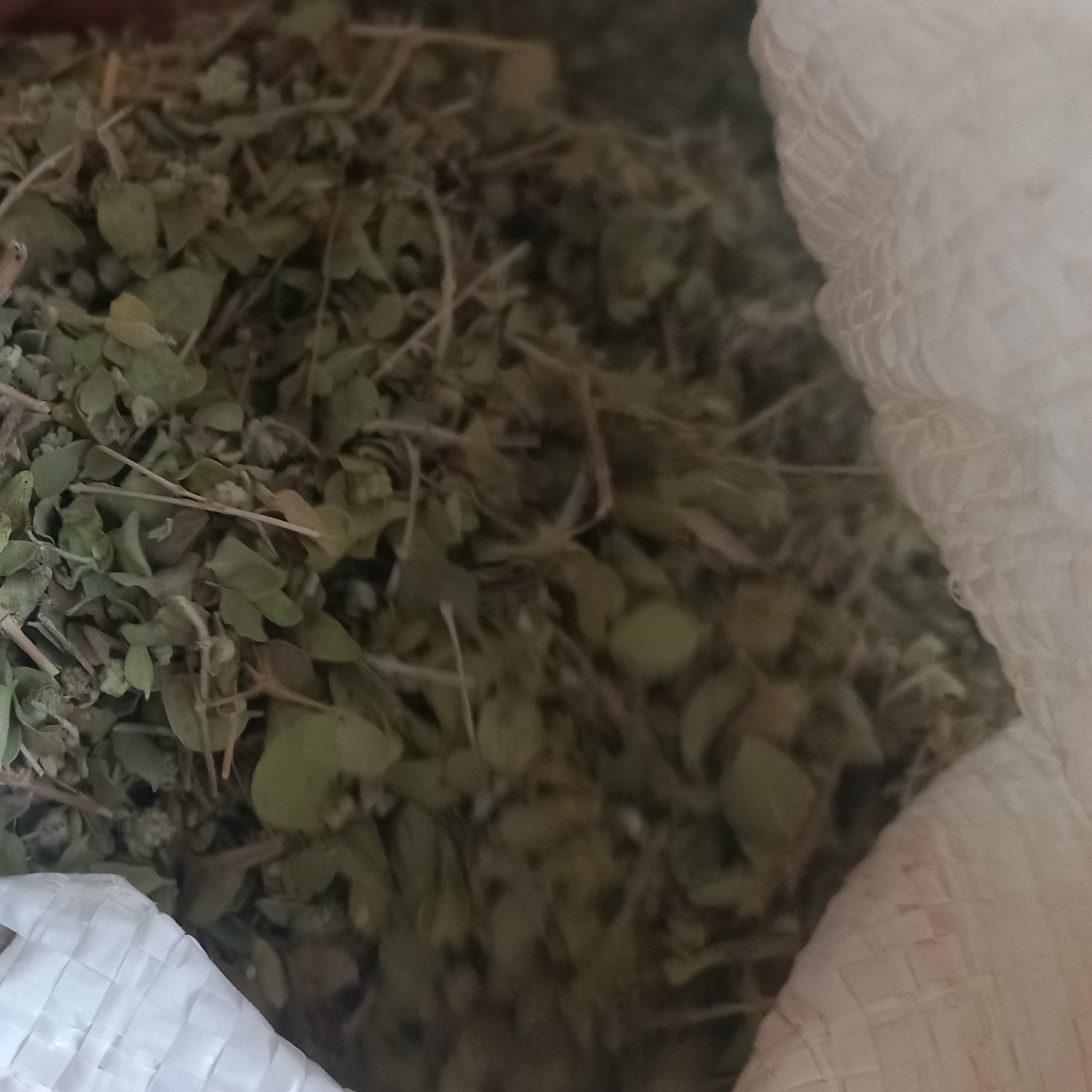 تخصص من  آویشنه.آویشن پهن برگ شیرازی(کوهی) تازه و سبز امسالی وزن بسته  1 کیلوگرم  کیفیت عالی و تمیز  