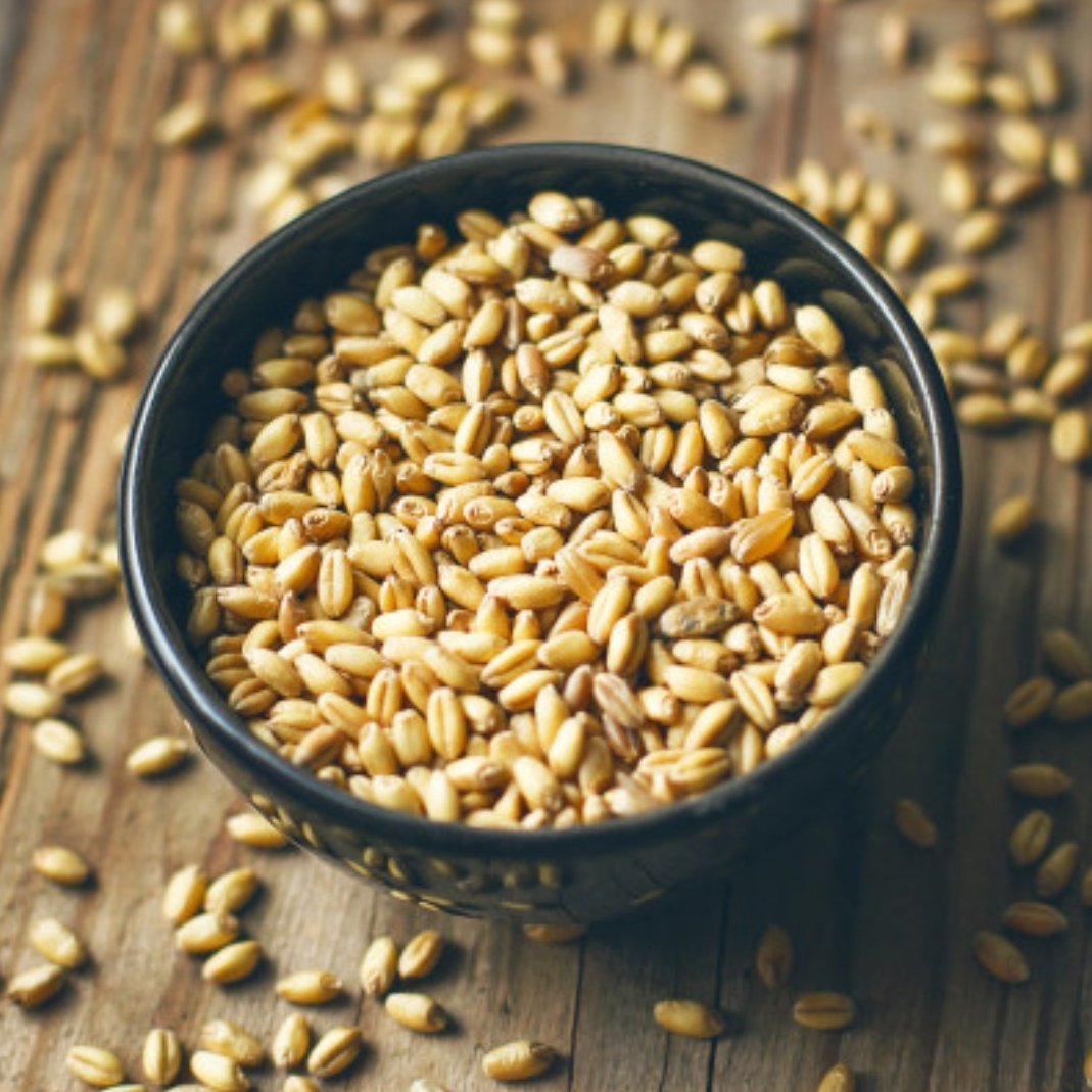 گندم سبوس دار کاملاً ارگانیک (500 گرمی)