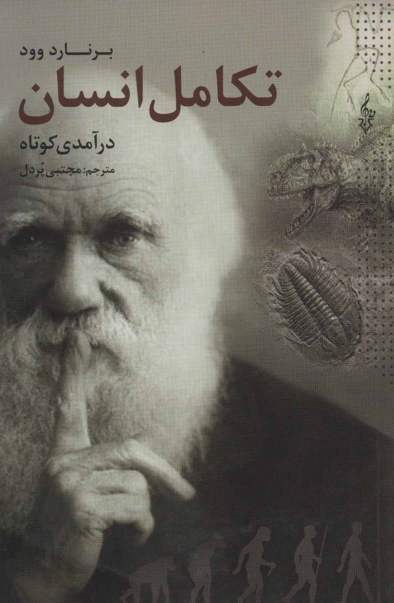 درآمدی کوتاه بر تکامل انسان - کتابفروشی کوچه کتاب
