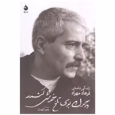 کتاب چون بوی تلخ خوش کندر اثر وحید کهندل نشر ماهی