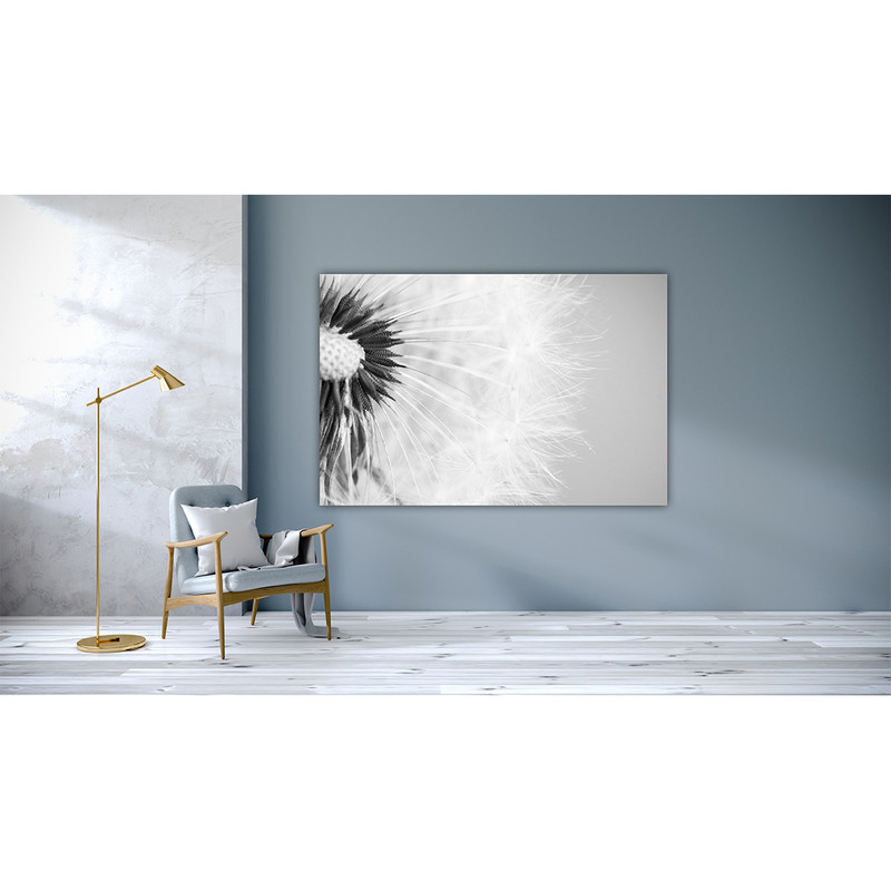 تابلو شاسی مدل Dandelion-1023 | دنیای قاب