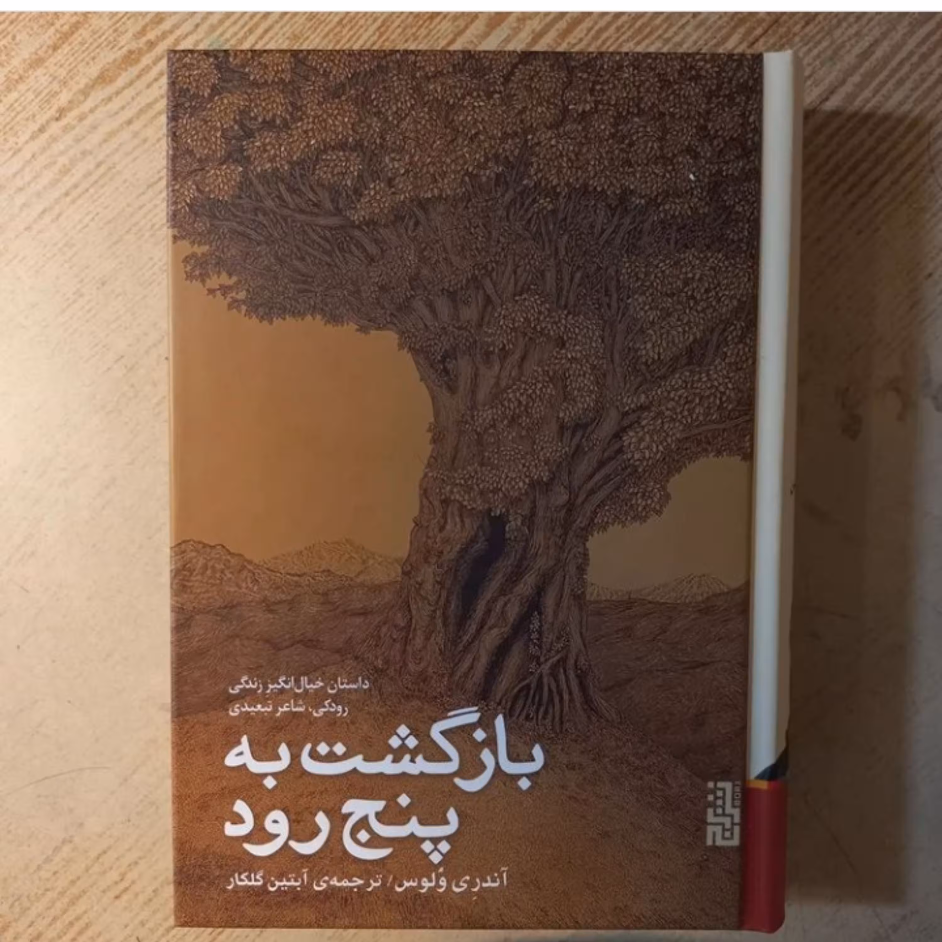 بازگشت به پنج رود اثر آندری ولوس ترجمه آبتین گلکار نشر برج