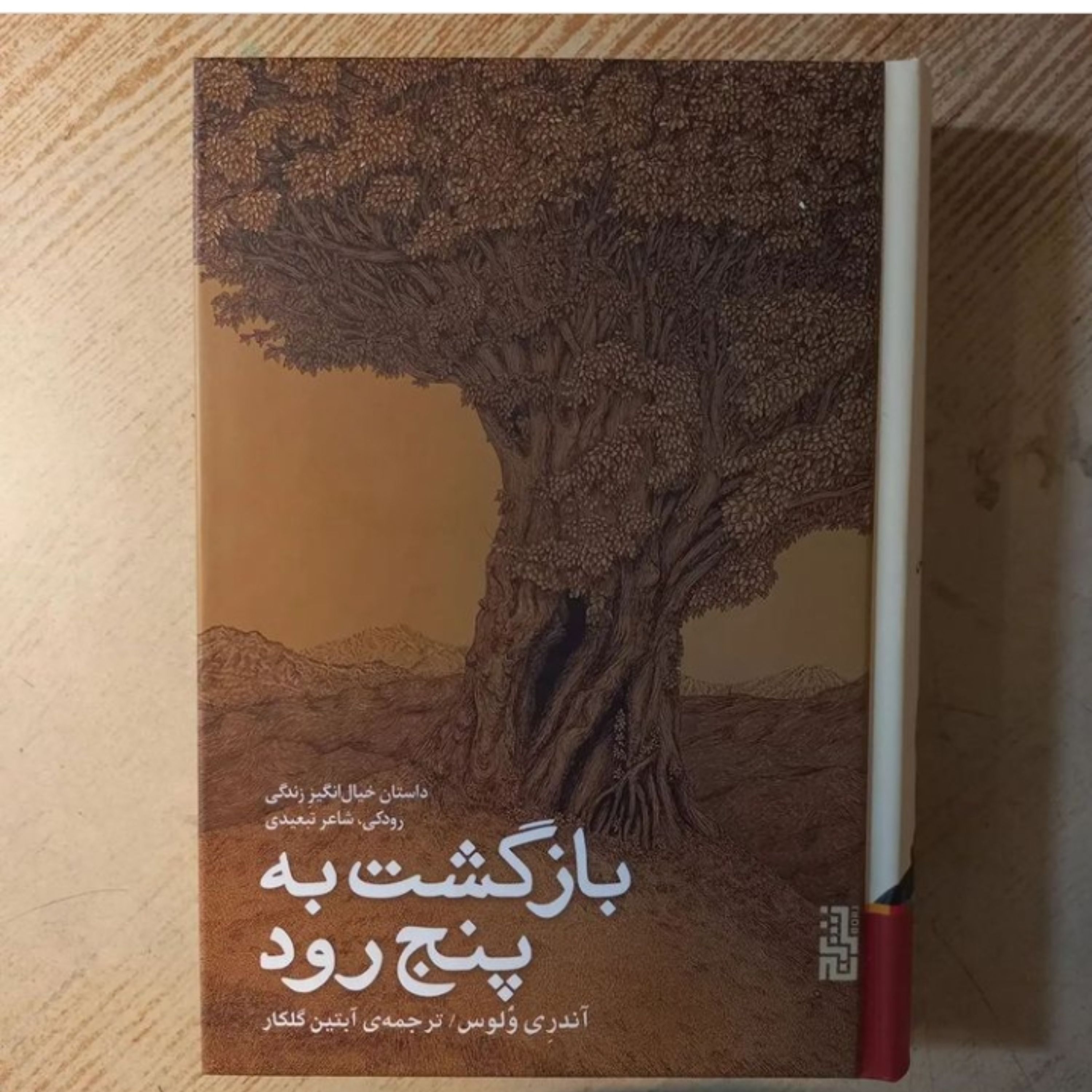 بازگشت به پنج رود اثر آندری ولوس ترجمه آبتین گلکار نشر برج