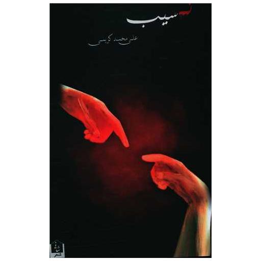 کتاب ن سیب اثر علی محمد کریمی