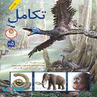 تکامل فاطمی