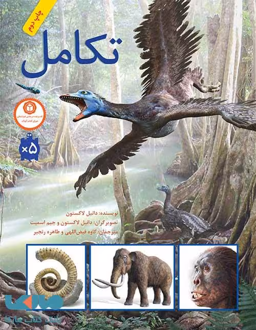 تکامل فاطمی