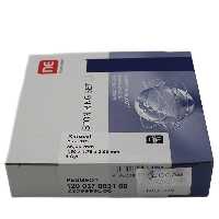 رینگ موتور استاندارد زانتیا NE