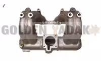 منیفولد هوا آریسان - گلدن یدک