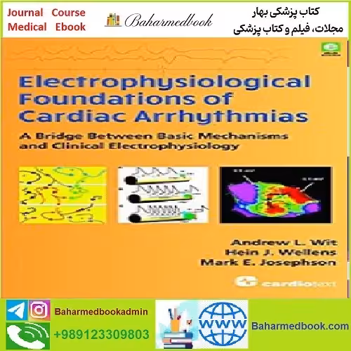 Electrophysiological Foundations of Cardiac Arrhythmias CON