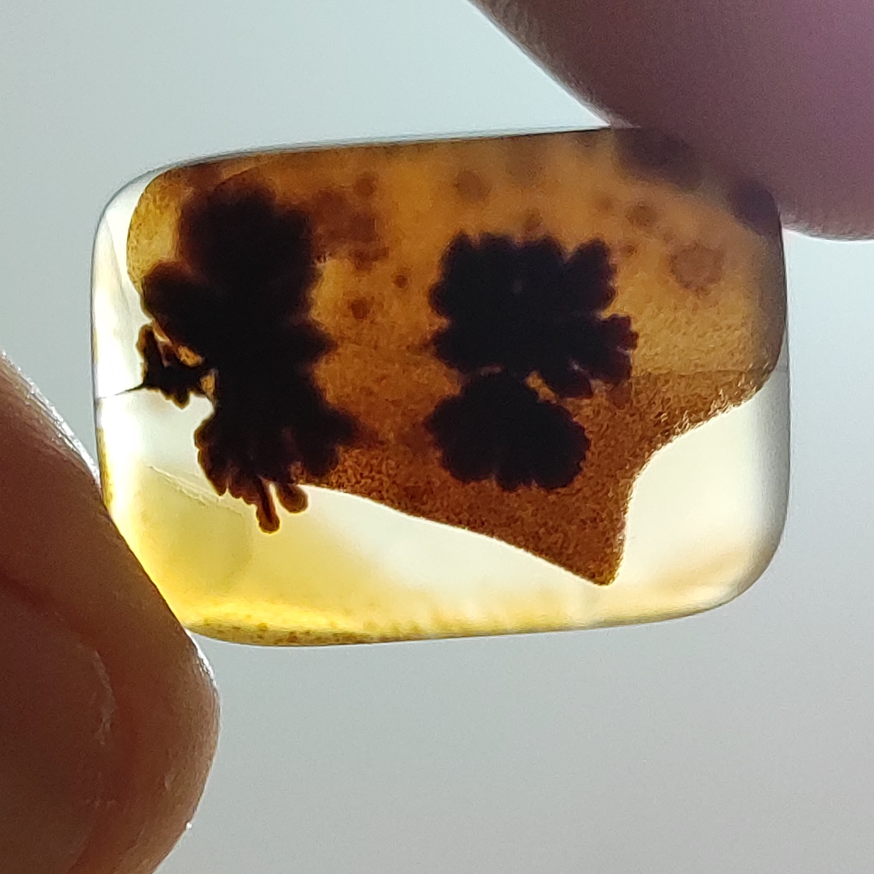 شجر قائن منظره دو درخت مصور مناسب اویز و گردنبند یا انگشتر و رکاب 