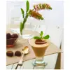 بستنی خوری لاو کد FR378 بسته 6 عددی