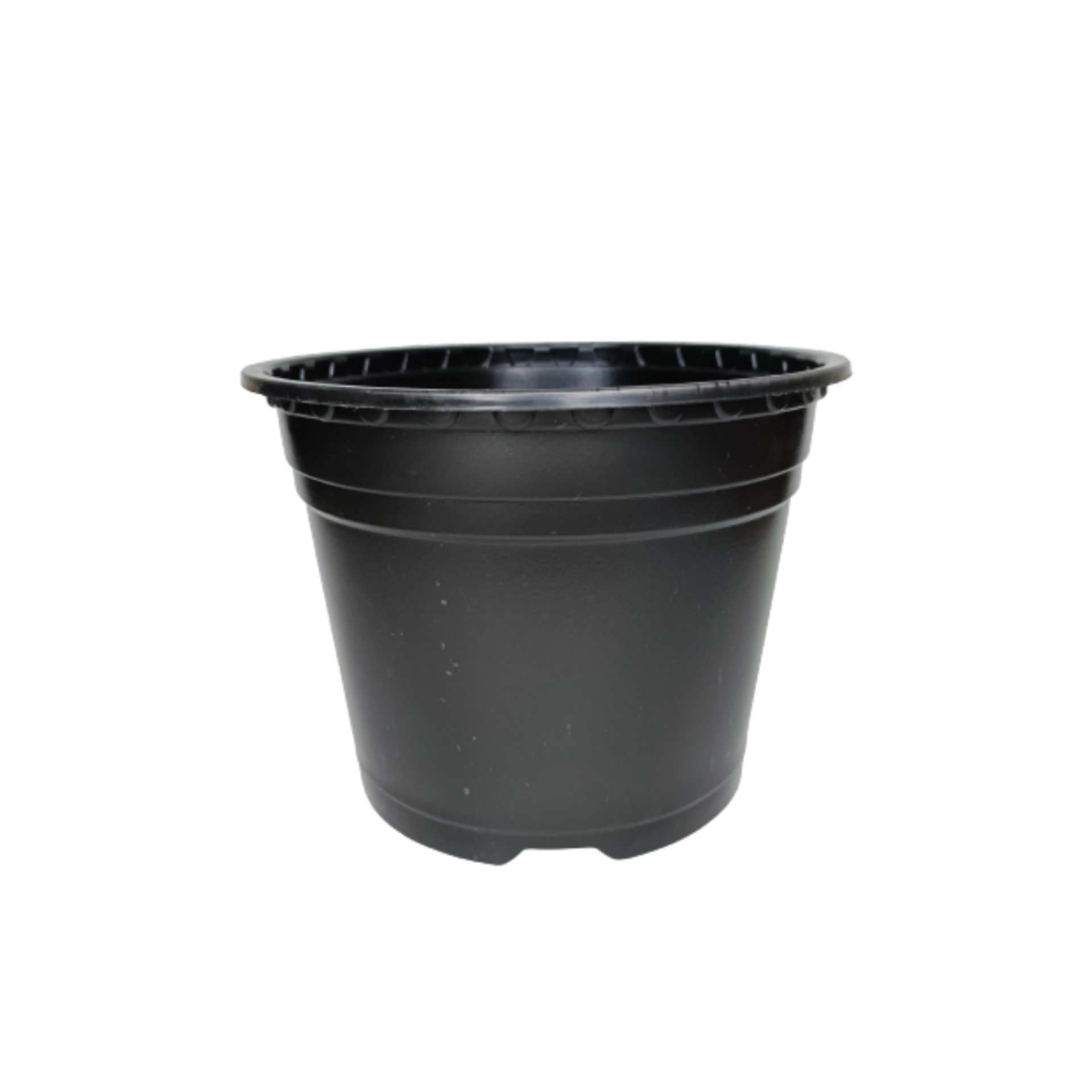 گلدان مدل ژله ای کد A_16 بسته 10 عددی