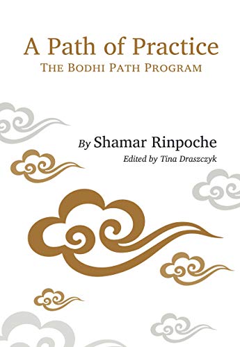 خرید و دانلود نسخه کامل کتاب A Path of Practice: The Bodhi Path Program -   pdf