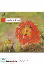 کتاب زورگوی دادبزن از پروانه ای که روی بال هایش دنیا را داشت 2 | ایده بوک