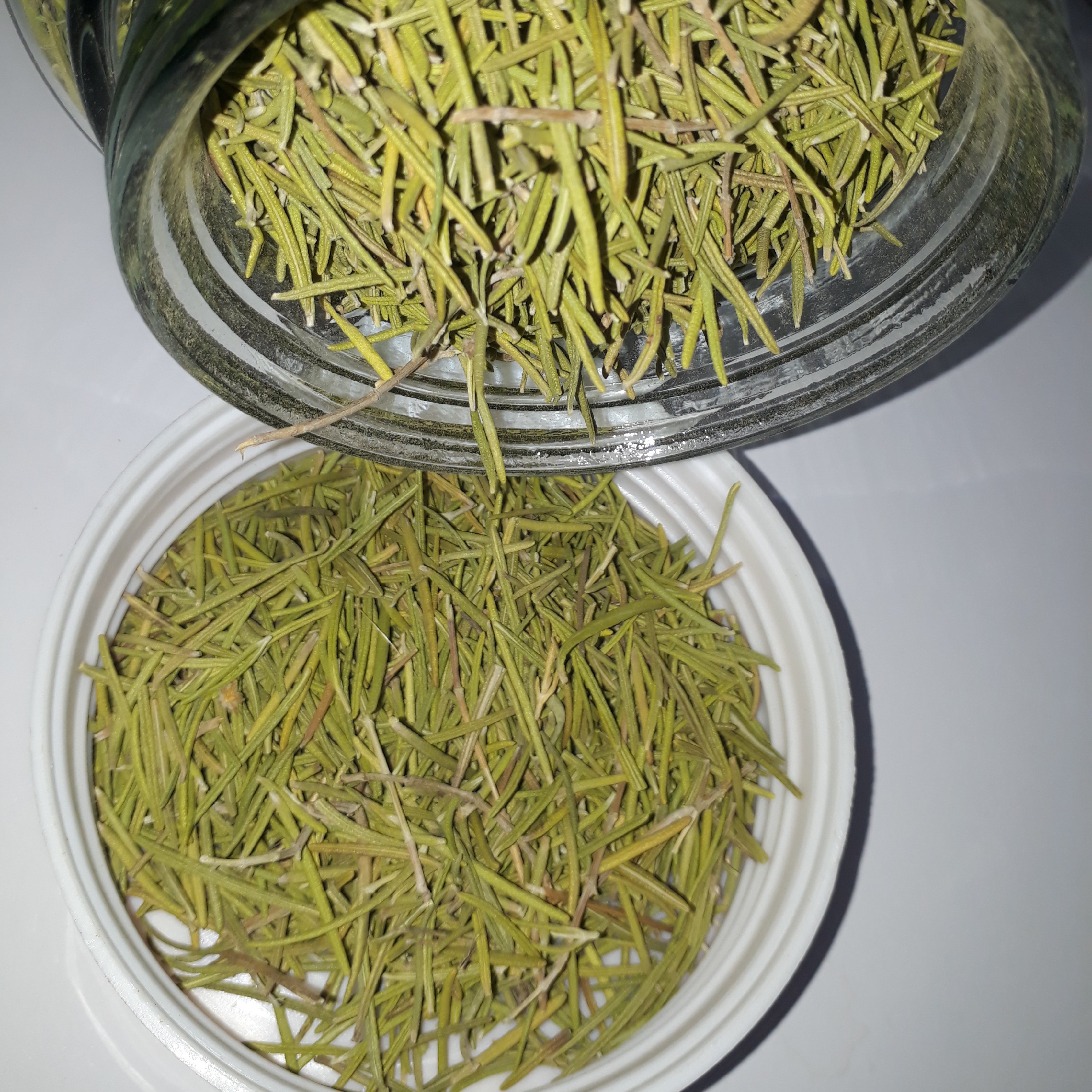 گیاه رزماری (پاک شده)