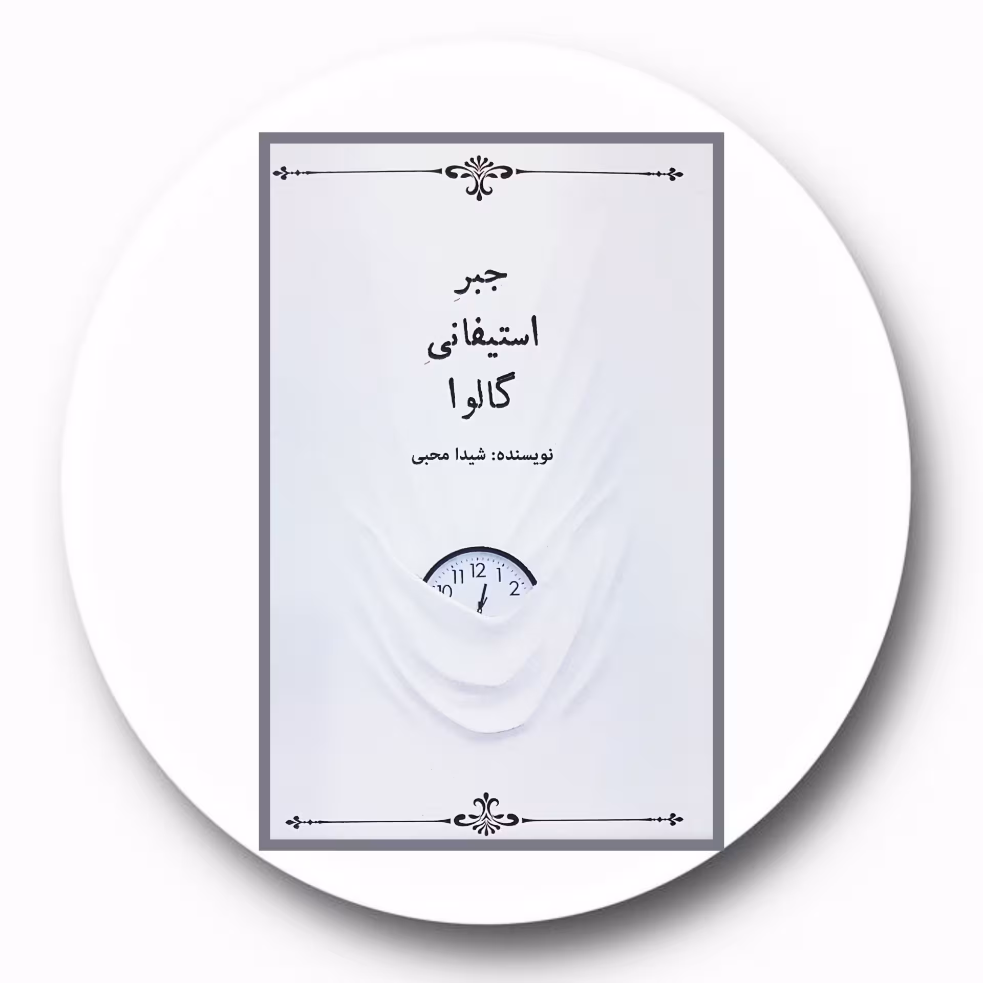 کتاب جبر استیفانی گالوا - خرید با تخفیف چهل درصد ازکتاب دایره قهوه ای -