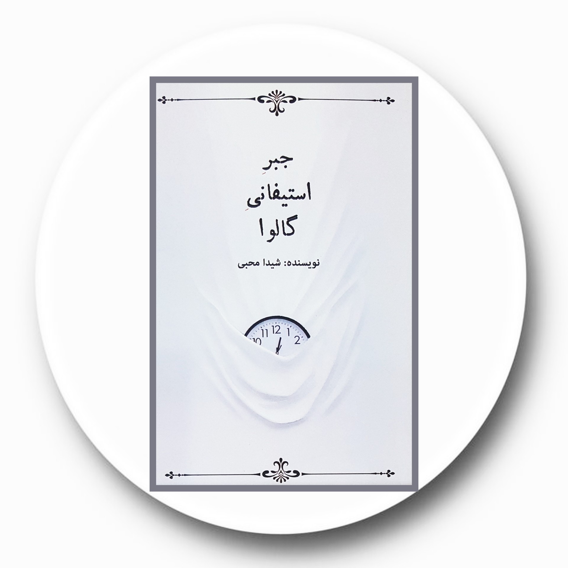 کتاب جبر استیفانی گالوا - خرید با تخفیف چهل درصد ازکتاب دایره قهوه ای -