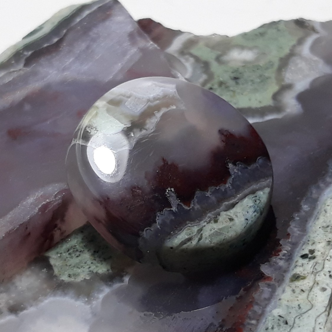 عقیق شجر منظره