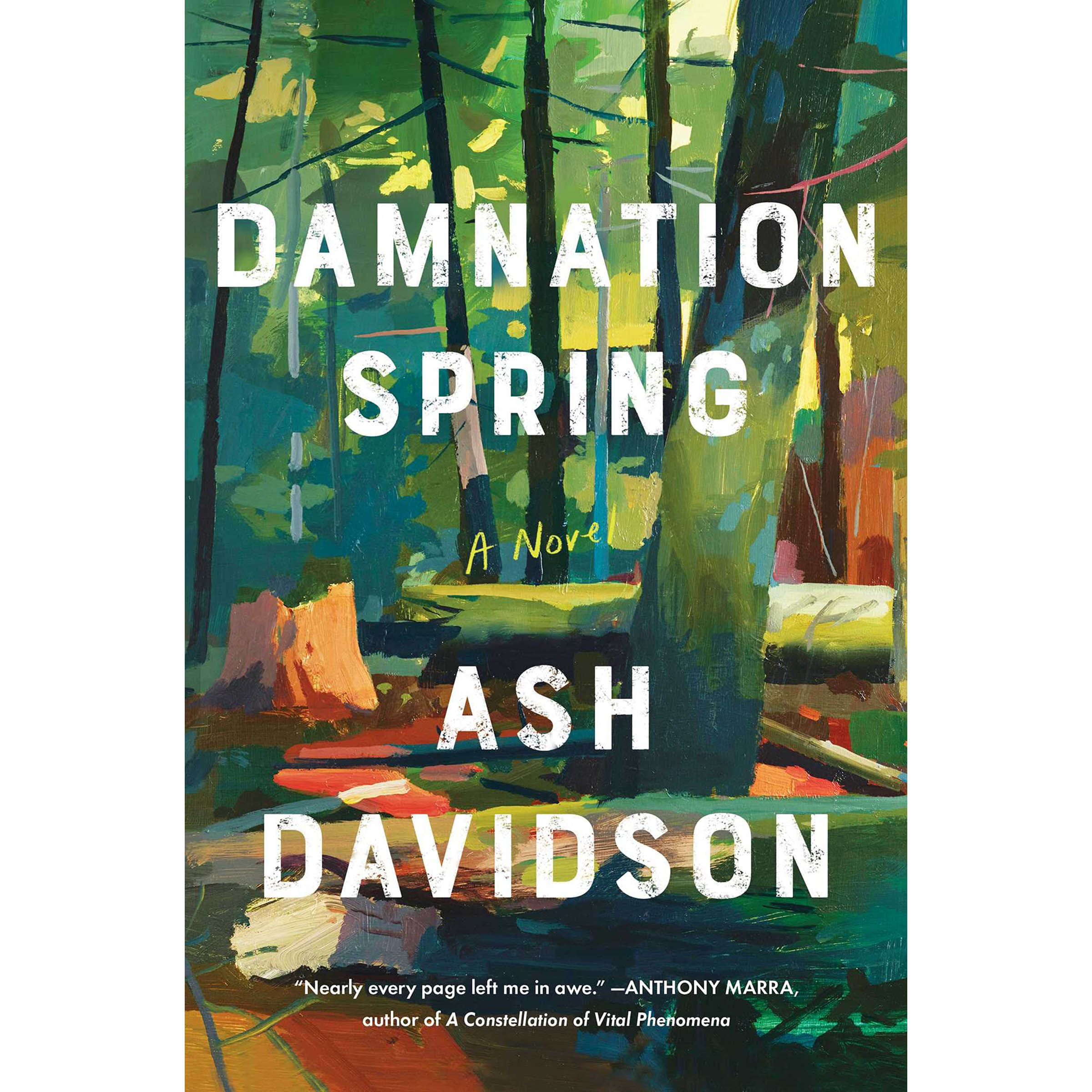 کتاب Damnation Spring اثر Ash Davidson انتشارات Scribner 