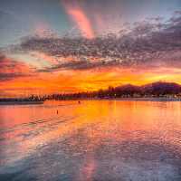 خرید و دانلود عکس Nature-Part-9 کد 37290 | پیک فاکس | Pic Fox