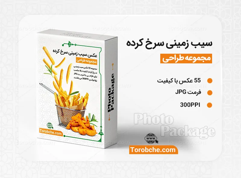 مجموعه 55 عکس سیب زمینی سرخ کرده با کیفیت عالی برای طراحی | گرافیک با طعم تربچه