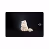 برچسب پوششی ماهوت مدل Persian cat مناسب برای تبلت سامسونگ Galaxy Tab S4 10.5 2018 T835