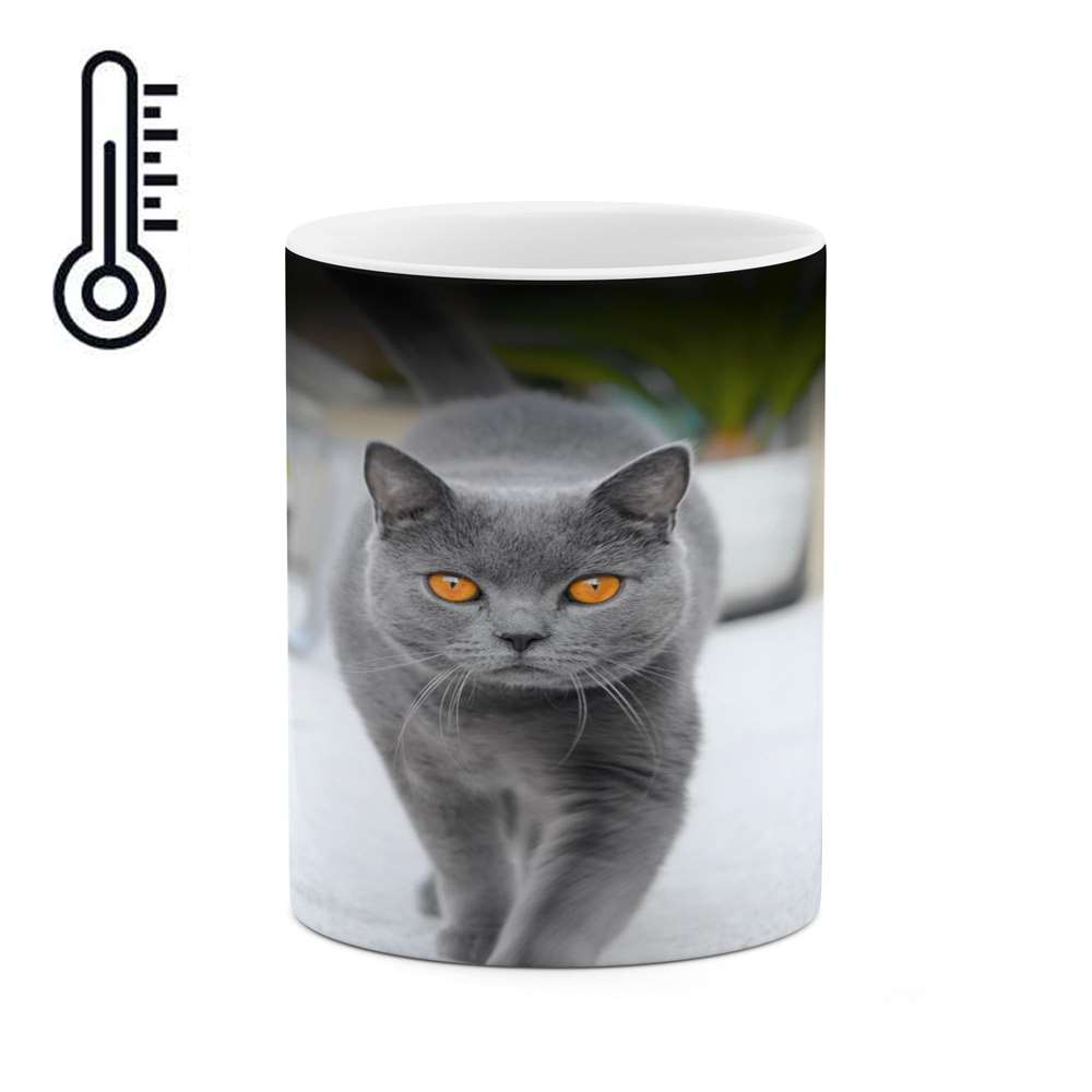 ماگ حرارتی کاکتی طرح گربه مدل mgh16810