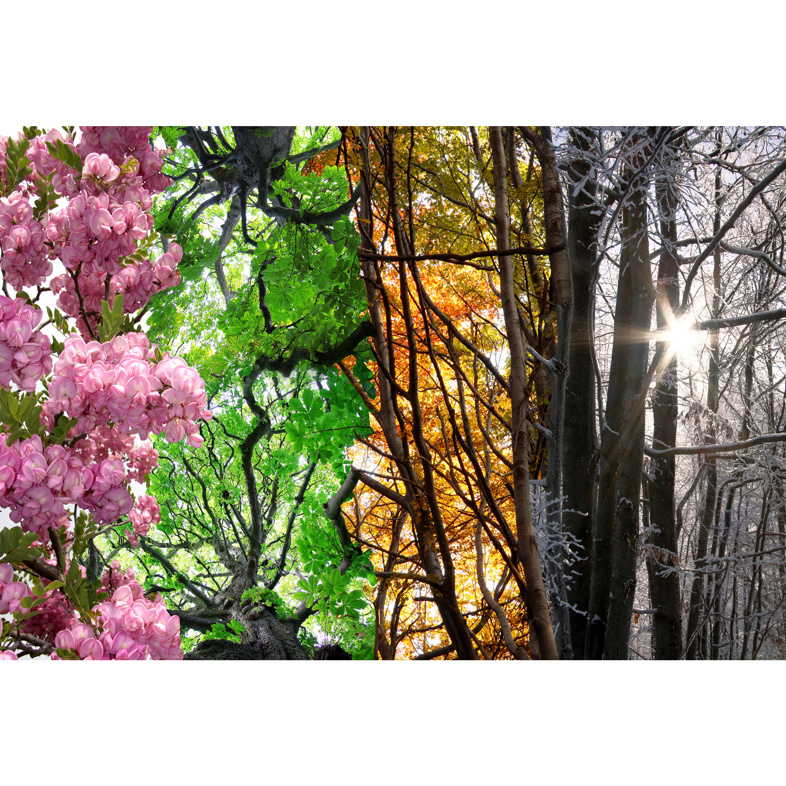 تابلو شاسی مدل چهار فصل و بهار و تابستان و پاییز و زمستان T6939