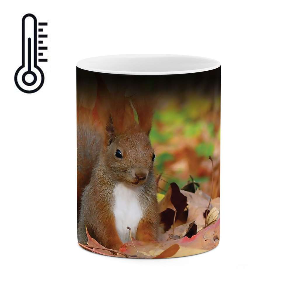 ماگ حرارتی طرح سنجاب مدل mgh04352